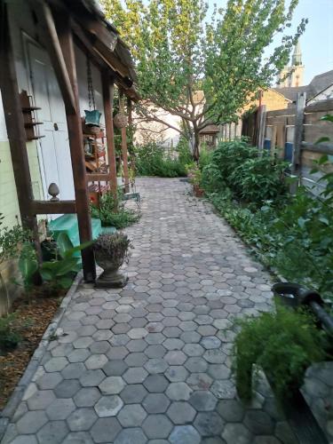 a stone walkway next to a house with a tree at Somborski salas - strogi centar in Sombor