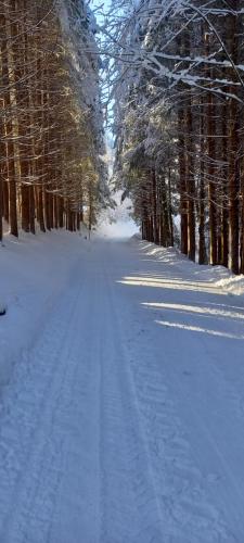 a snow covered road with trees in the distance at Appartement Winteraugut in Werfen
