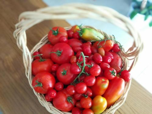 a basket filled with tomatoes on a wooden table at Hotel Ape Regina in Ischia