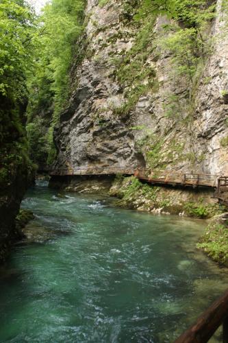 a river next to a cliff with green water at Garden Apartments Maria in Bled