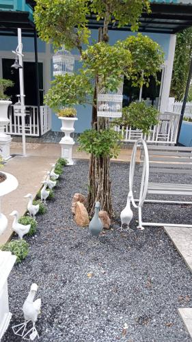 a group of birds standing around a tree at Khao thalu guest house in Ban Muang Wan