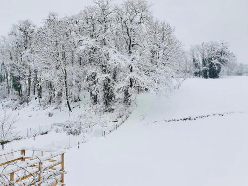 a snow covered field with trees and a lake at Le Lodge du Pichat in Sainte-Hélène-du-Lac