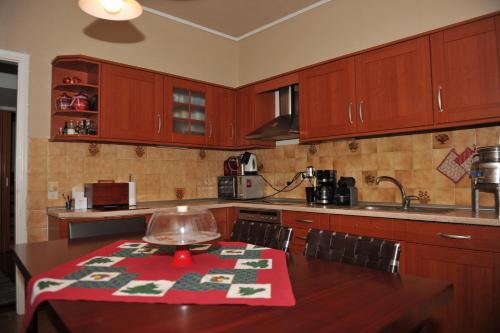 Кухня или мини-кухня в Vila Vasi- Μodern maisonette view Meteora
