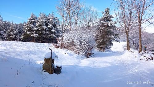 a snow covered field with trees and a fire hydrant at Cascina Boschetto in Saliceto