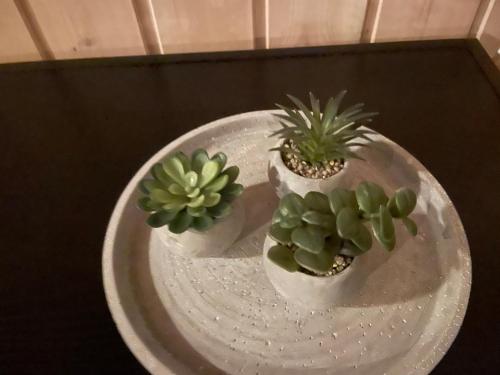 two potted plants sitting on a plate on a table at Tinden in Hemsedal
