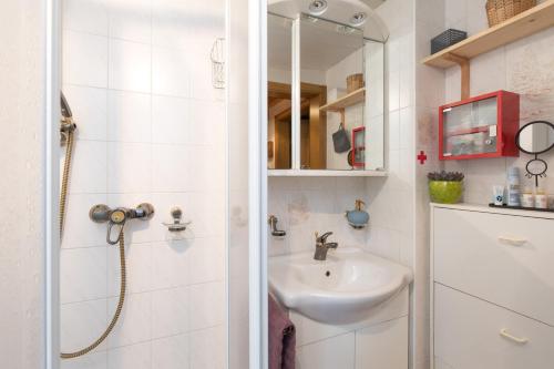 La salle de bains blanche est pourvue d'un lavabo et d'une douche. dans l'établissement Pr' Vili Fani, à Kostel