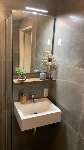 a bathroom with a white sink and a mirror at Hof van Bommerig in Mechelen