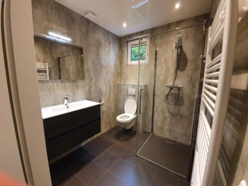 een badkamer met een toilet, een wastafel en een douche bij Vakantiehuis, Camping Alkenhaer in Appelscha