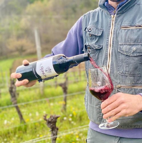 Bebidas en Il Roncal Wine Resort - for Wine Lovers
