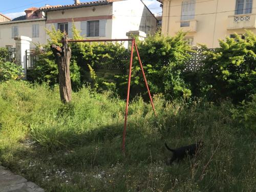 a black cat walking in the grass next to a basketball hoop at Hébergements à La Rive, Accueil ouvert tous les jours jusqu'à 20h00 dernier délai, depuis 30 ans ! Réserver ici svp ! Merci ! Aucun règlement à distance accepté, Paiement par CB, Espèces, Chèque ou Chèques-Vacances impérativement à la remise des clefs ! in Amélie-les-Bains-Palalda