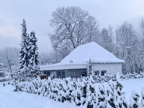 Bambu Lodge @ Ossiachersee v zimě