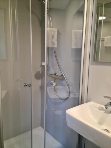 a bathroom with a shower and a sink at Waldbahnhof Sauerland in Brilon-Wald