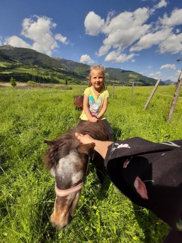 a little girl sitting on a horse in a field at Apartments Teglbauernhof, Hütte, Chalet, Mobilheim, Appartement, Ferienwohnung, Pension, Urlaub in Uttendorf
