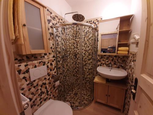 a bathroom with a shower with a sink and a toilet at Apartments Teglbauernhof, Hütte, Chalet, Mobilheim, Appartement, Ferienwohnung, Pension, Urlaub in Uttendorf