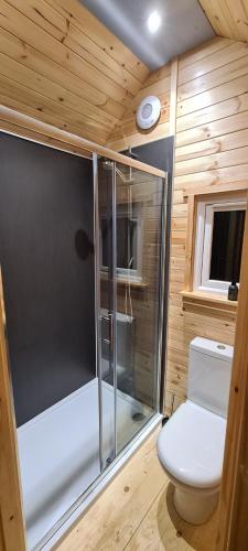 a bathroom with a toilet and a glass shower at Loch Ewe Luxury Pods in Mellon Charles