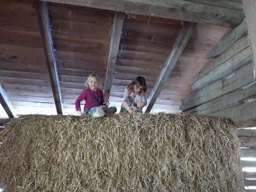 two little girls sitting on top of a haystack at Apartments Teglbauernhof, Hütte, Chalet, Mobilheim, Appartement, Ferienwohnung, Pension, Urlaub in Uttendorf