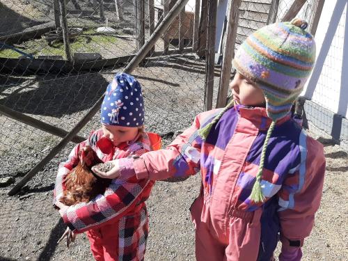 two young children are playing with a chicken at Apartments Teglbauernhof, Hütte, Chalet, Mobilheim, Appartement, Ferienwohnung, Pension, Urlaub in Uttendorf