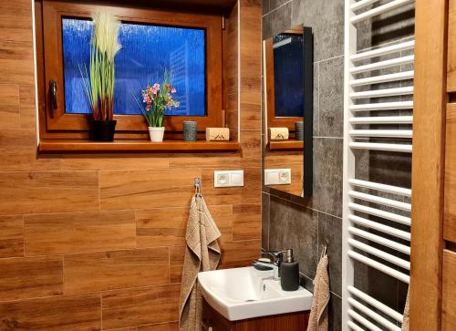 a bathroom with a sink and a window at Chata Oddychovka in Demanovska Dolina