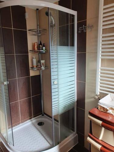 a shower with a glass enclosure in a bathroom at Casa mea de vacanta in Baia-Sprie