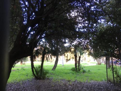 Zahrada ubytování BREZZA MARINA