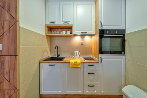 Η κουζίνα ή μικρή κουζίνα στο Apartman Mitic, Zlatibor