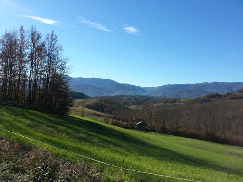 a green field with trees and mountains in the background at Tolasudolsa Rooms, Breakfast & Mountain Bike in Compiano