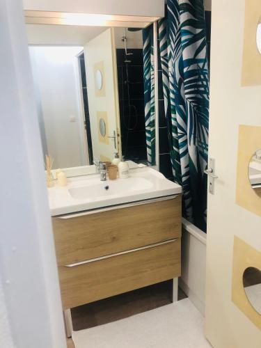 une salle de bain avec un lavabo et un miroir dans l'établissement L'APPART'MARCEL*T1bis*FIBRE*PARKING*CHEK-IN*24/24, à Blagnac