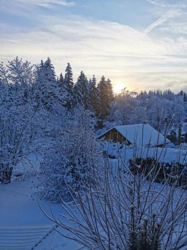 ein schneebedeckter Wald mit einem Haus im Hintergrund in der Unterkunft Ferienwohnung "Am Wald" in Schmiedefeld am Rennsteig