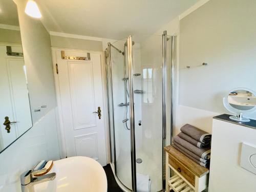 e bagno con doccia, servizi igienici e lavandino. di Ruheoase am Dorfteich für 2-4 Personen a Wenningstedt