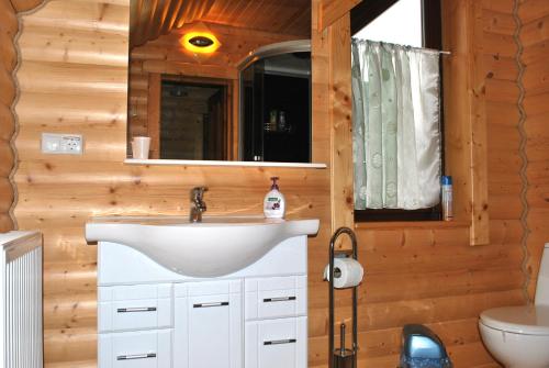 a bathroom with a sink and a mirror at Вілла Олекси in Skhidnitsa