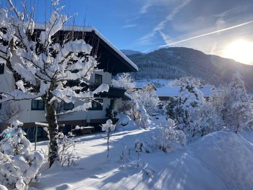 a house covered in snow with a tree at Landhaus Riepler in Wagrain