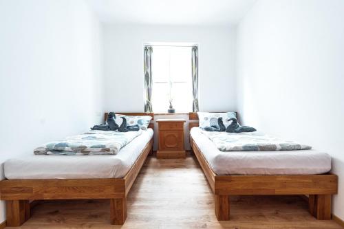 two twin beds in a room with white walls at Pension-Cafe-Konditorei Mikl in Hallein