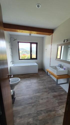 a bathroom with a sink and a toilet and a window at Panorama in Fundata
