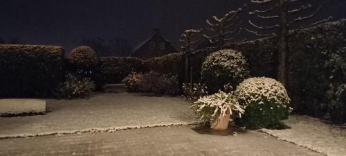 a garden at night with snow on the ground at little cottage in Lasne