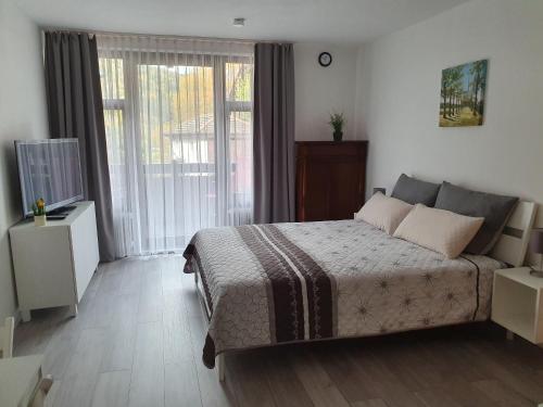a bedroom with a bed and a television in it at Gemütliche Ferienwohnung am Kurpark in Bad Herrenalb in Bad Herrenalb