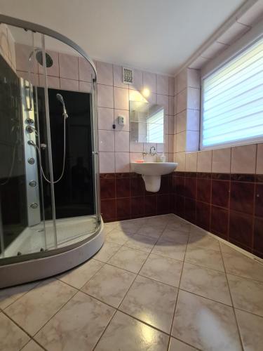 een badkamer met een douche en een wastafel bij Apartamenty Willa NaSkarpie Jacuzzi Sauna Basen in Wisła