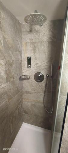 a bathroom with a shower with a sink at Chalet Alpina Hotel & Apartments in La Thuile