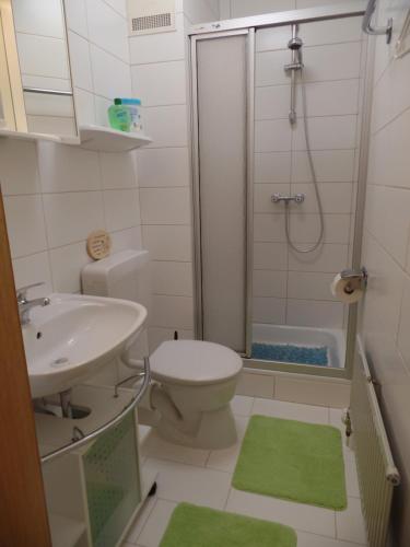 a bathroom with a shower and a toilet and a sink at Am Waldrand in Bayerisch Eisenstein