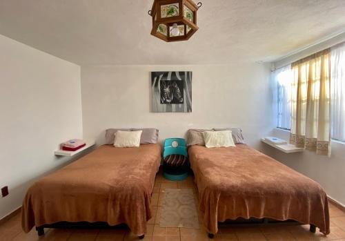 Un pat sau paturi într-o cameră la CASA ENTERA PURA VIDA!