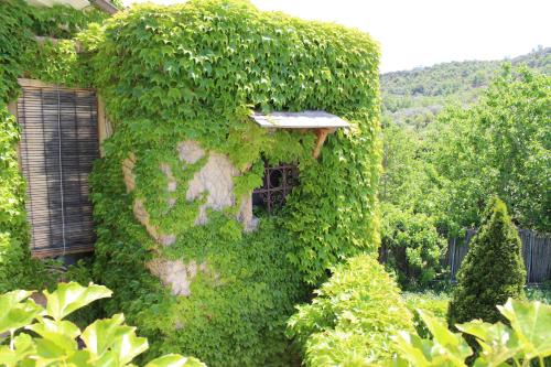 a building covered in green ivy with a window at Hotel La Posada de Lalola in Buera