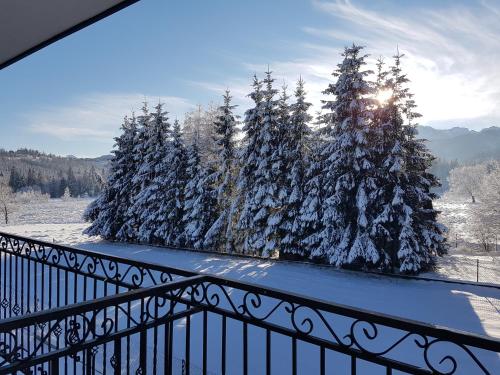 a view from a balcony of a snowy mountain at Pokoje Gościnne Kurosik in Zakopane