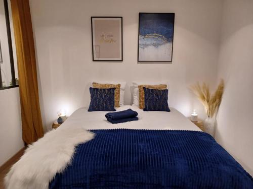 ein Schlafzimmer mit einem blauen und weißen Bett mit zwei Kissen in der Unterkunft Le petit Dubaï in Douai