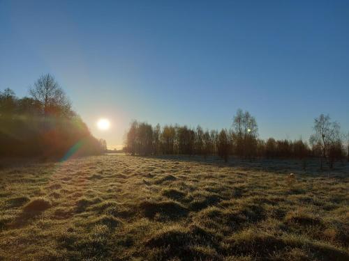 a field with the sun in the sky and a rainbow at Chataa in Szczechy Małe