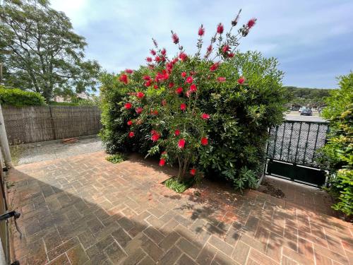 Magnifiques chambres dans 100m2 au calme Saint Cyprien Plage