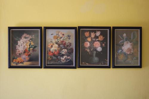 four framed pictures of flowers on a wall at Hotel La Posada de Lalola in Buera