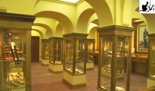 a room with many glass cases in a museum at Casa di Emilia in Carpinone