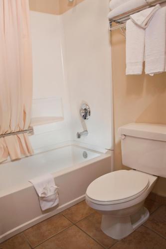 a bathroom with a toilet and a bath tub with a toilet at The Stone Castle Hotel & Conference Center in Branson