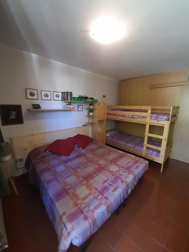 卡斯波喬的住宿－Monolocale cimarosa，一间卧室配有一张床和两张双层床。