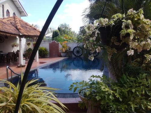 a pool in the backyard of a house with plants at Embiente Guest House in Negombo
