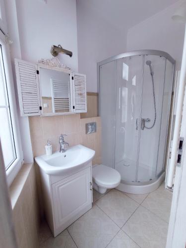 a bathroom with a shower and a toilet and a sink at Fiore in Duszniki Zdrój